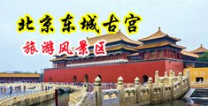 粉逼大胸美女舔大屌中国北京-东城古宫旅游风景区