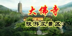 想看女生的逼下载什么软件中国浙江-新昌大佛寺旅游风景区